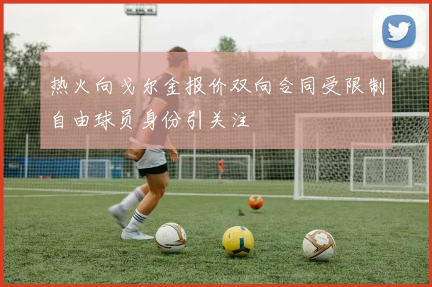 热火向戈尔金报价双向合同受限制自由球员身份引关注