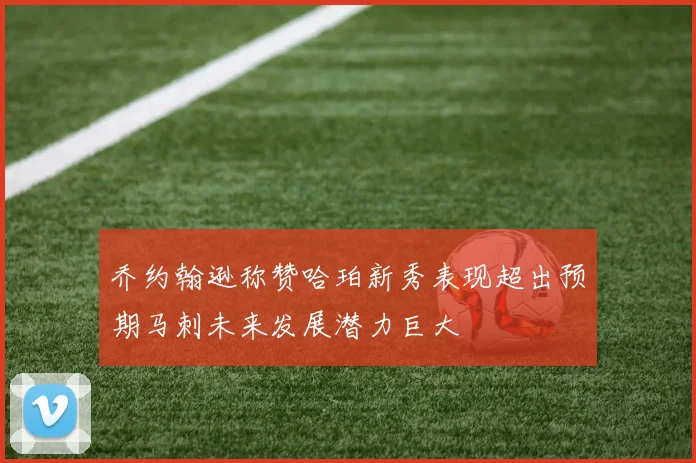 乔约翰逊称赞哈珀新秀表现超出预期马刺未来发展潜力巨大