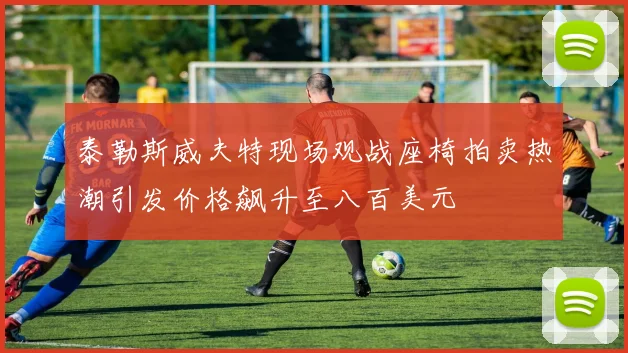 泰勒斯威夫特现场观战座椅拍卖热潮引发价格飙升至八百美元